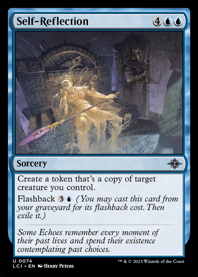 Self-Reflection - 74