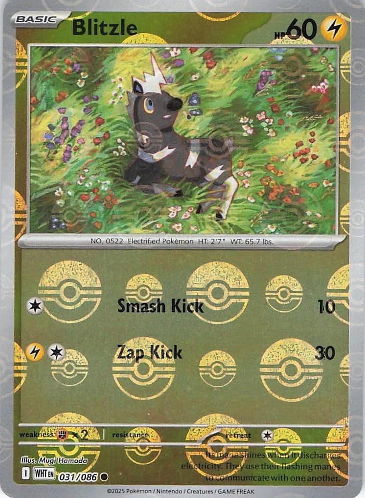 Blitzle (Poke Ball Pattern) - 031/086 (Holo)