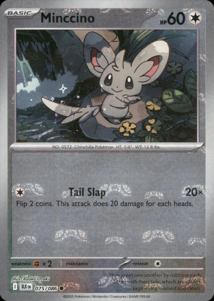 Minccino (Master Ball Pattern) - 075/086 (Foil)
