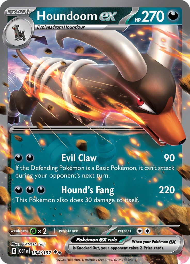 Houndoom ex - 134/197 (Holo)