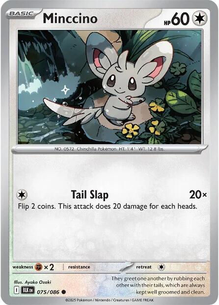 Minccino - 075/086 (Normal) Near Mint_Normal