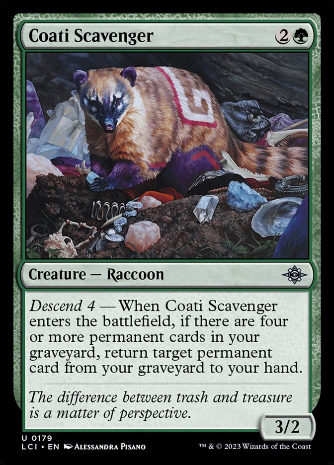 Coati Scavenger - 179