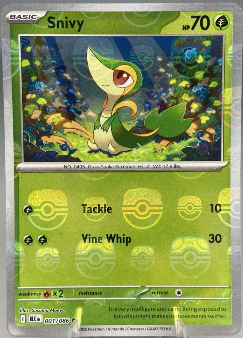 Snivy (Master Ball Pattern) - 001/086 (Foil)