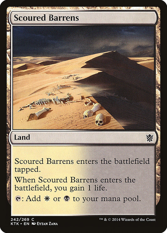 Scoured Barrens - 242 (Foil)