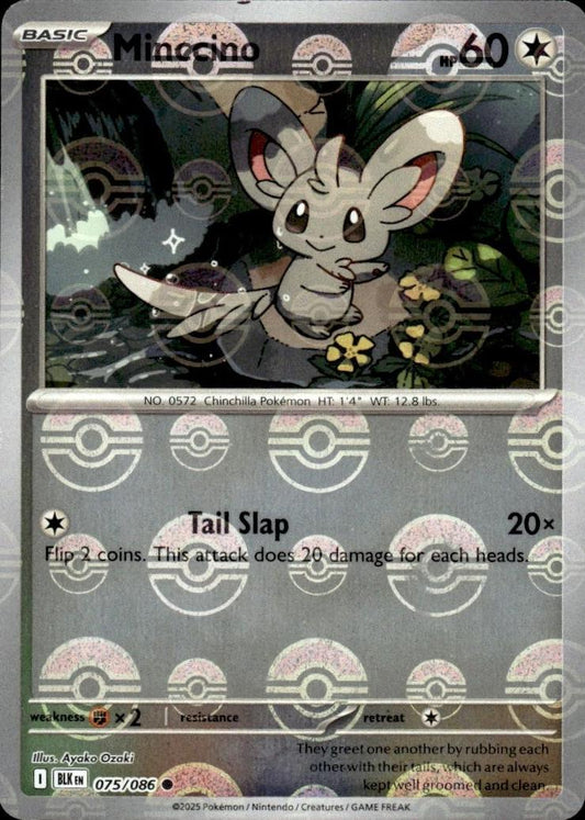 Minccino (Poke Ball Pattern) - 075/086 (Holo)