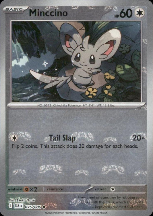 Minccino (Master Ball Pattern) - 075/086 (Foil)