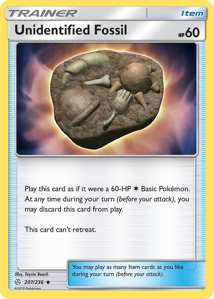 Unidentified Fossil - 207/236