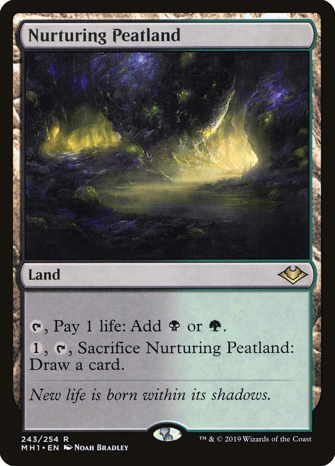 Nurturing Peatland (MH1 243)