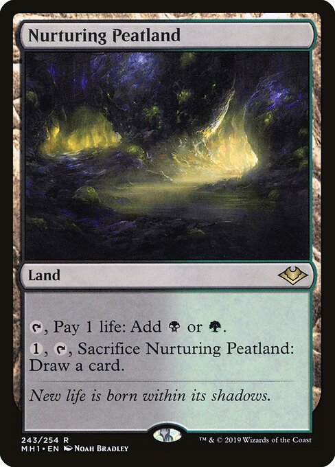 Nurturing Peatland MH1 #243 Non-Foil