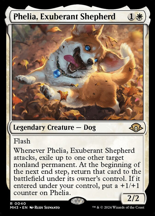 Phelia, Exuberant Shepherd - 40