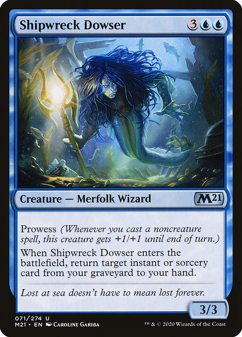 Shipwreck Dowser - 71 (Foil) Near Mint_Foil