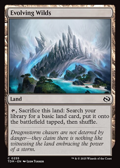 Evolving Wilds - 255 (Normal) Near Mint_Non-Foil