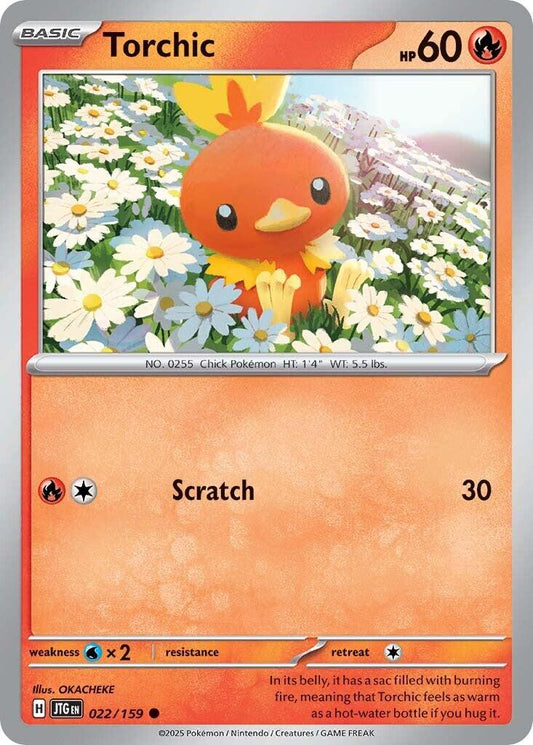 Torchic - 022 (Normal) Near Mint_Non-Foil