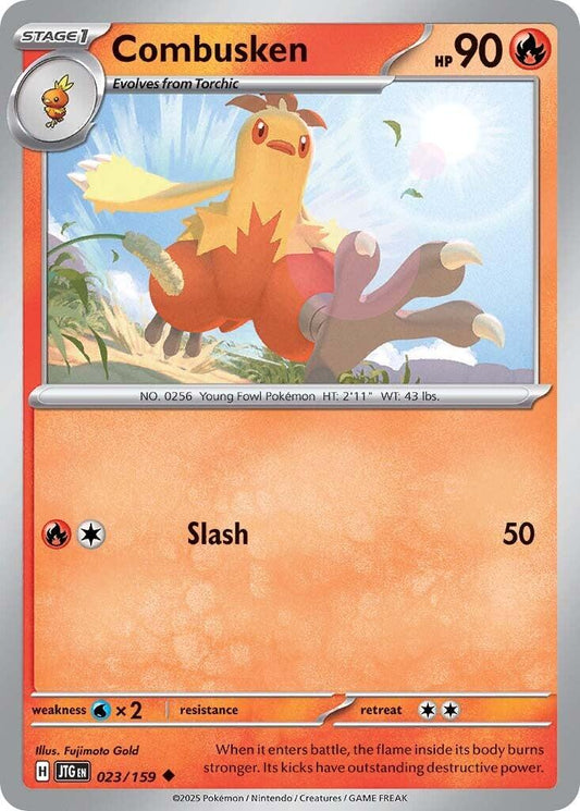 Combusken - 023 (Normal) Near Mint_Non-Foil