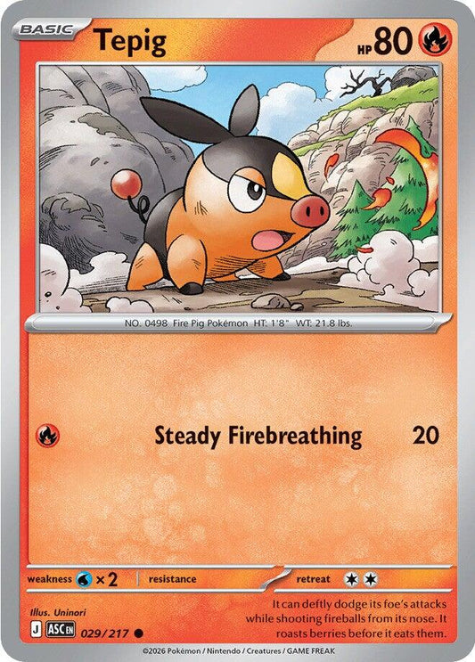 Tepig - 029/217