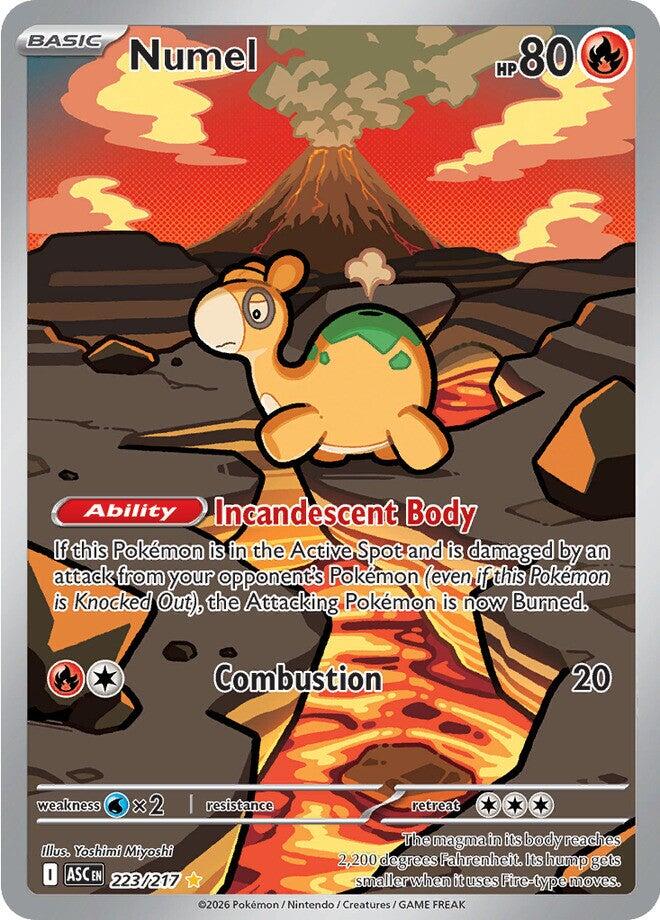 Numel - 223/217 - 223/217