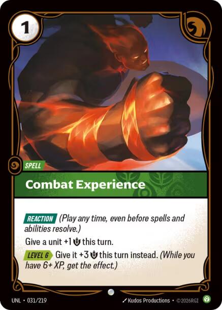 Combat Experience - 031/219