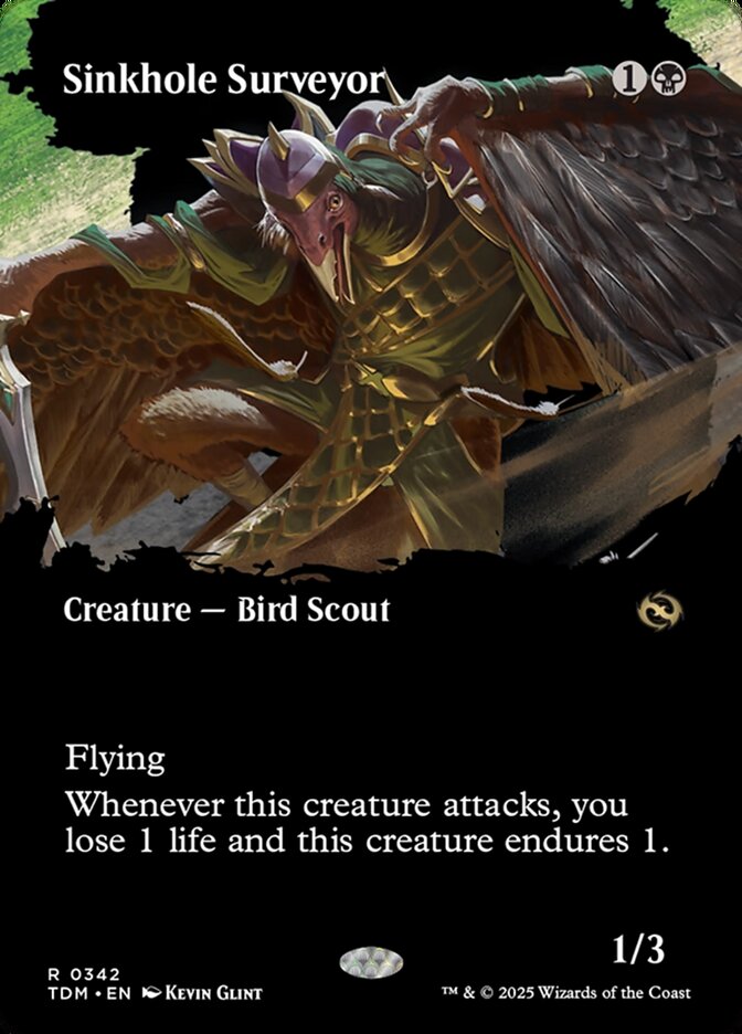 Sinkhole Surveyor - 342