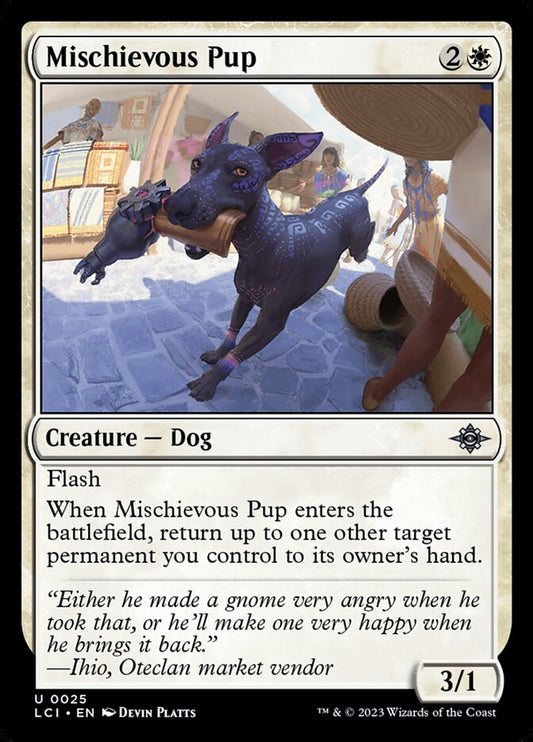 Mischievous Pup - 25