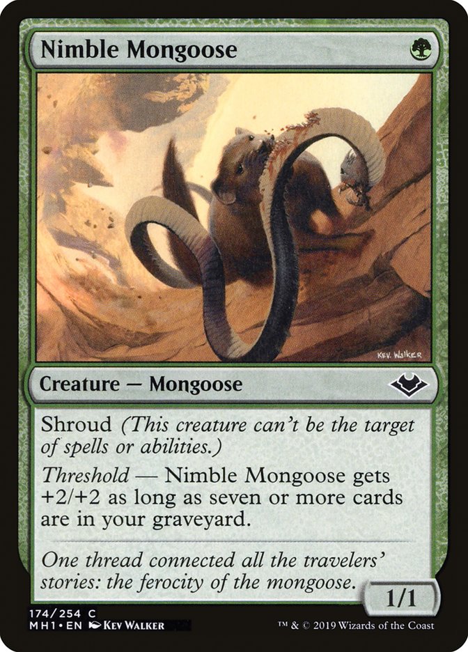 Nimble Mongoose (MH1 174)