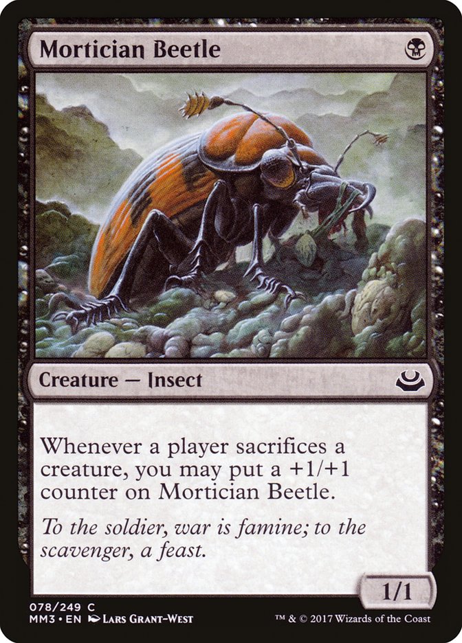 Mortician Beetle - 78