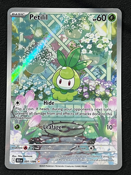 Petilil - 091/086 (Foil)