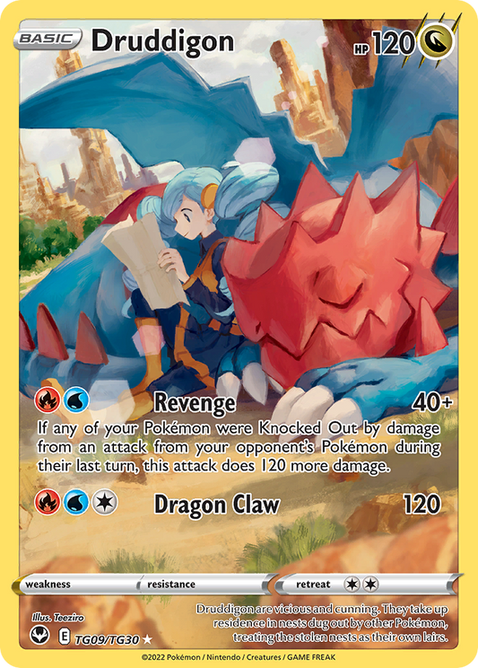 Druddigon - TG09/TG30 (Foil) Near Mint_Foil