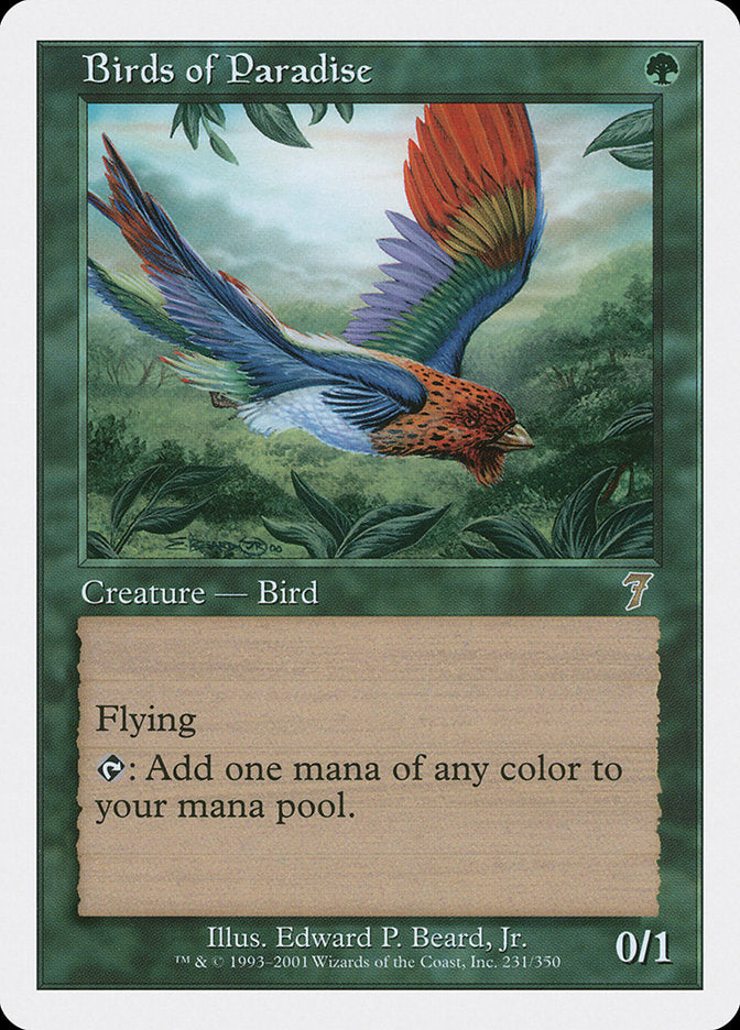 Birds of Paradise - 231
