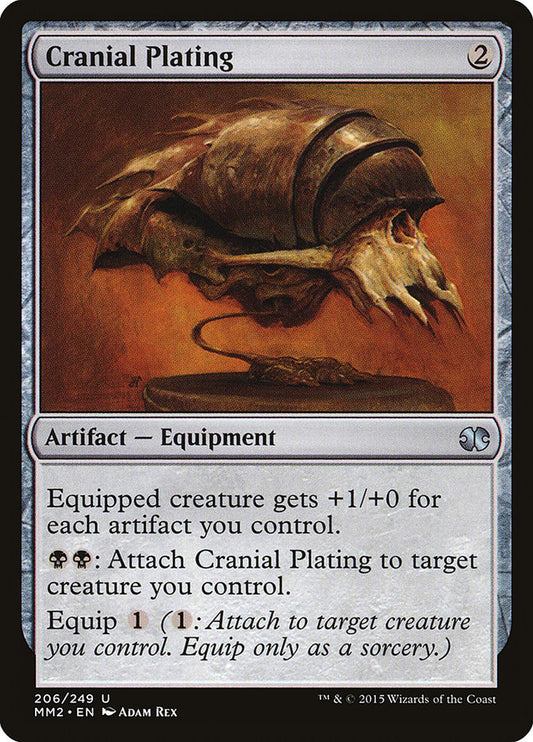 Cranial Plating - 206
