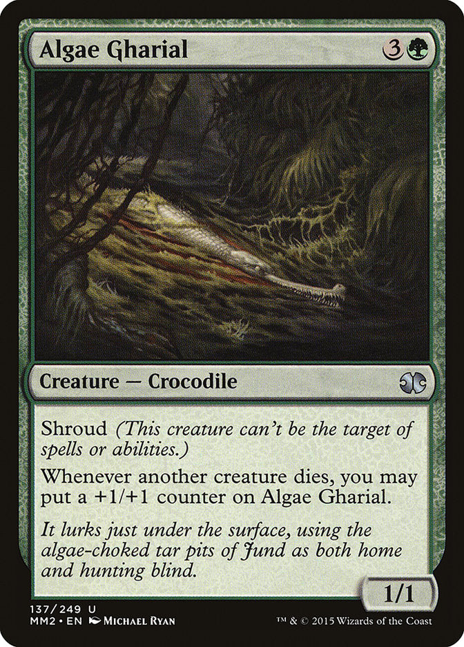 Algae Gharial - 137