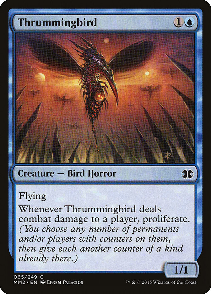 Thrummingbird - 65