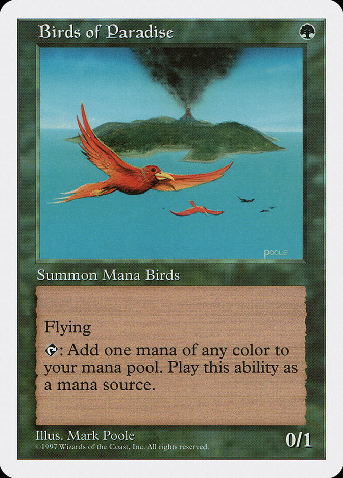 Birds of Paradise - 280