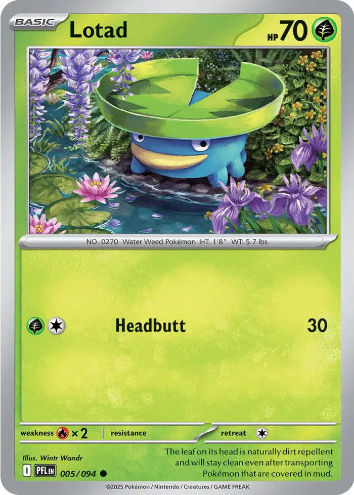 Lotad - 005/094 (Reverse Holo)