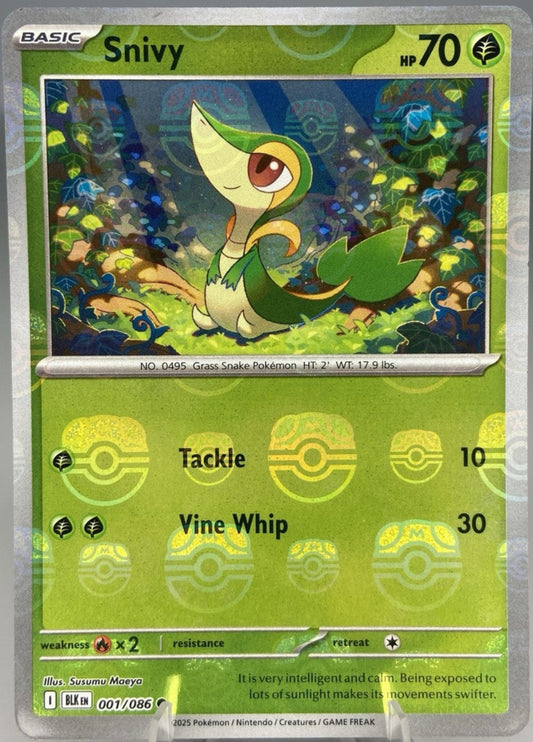 Snivy (Master Ball Pattern) - 001/086 (Foil)